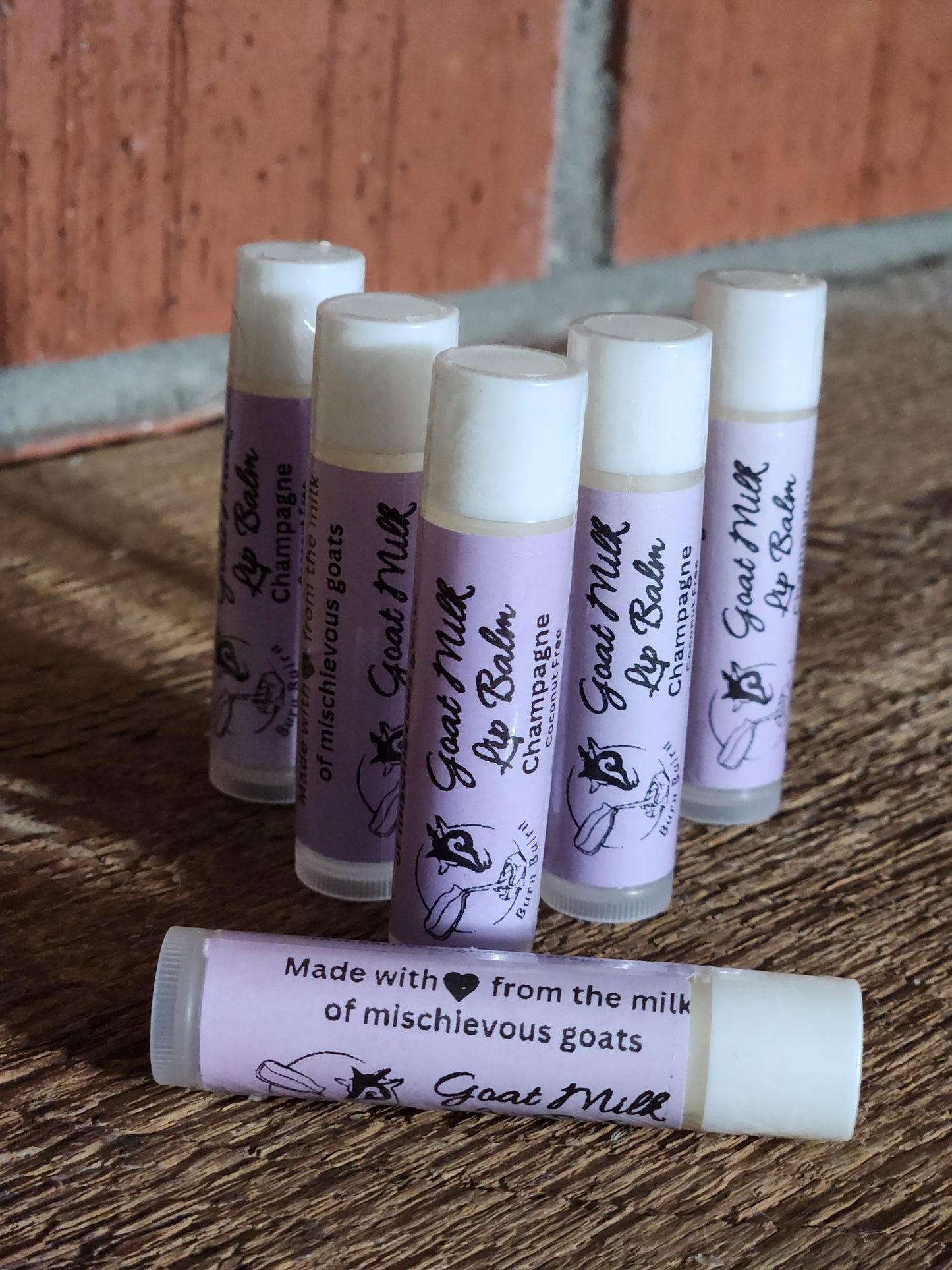 Goat Milk Lip Balm Mimosa ** Limited Edition **