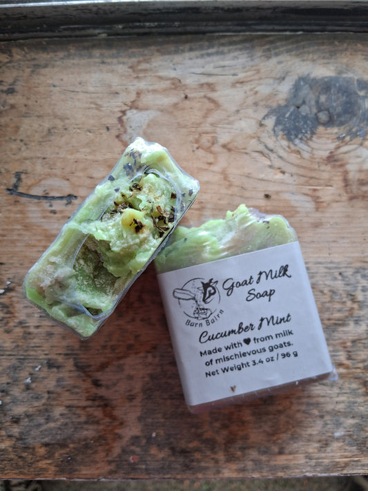 Cucumber Mint