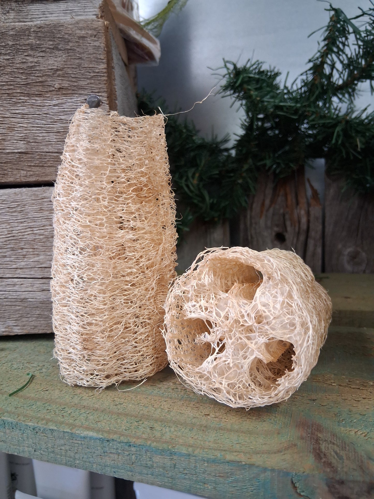 Loofah Sponges